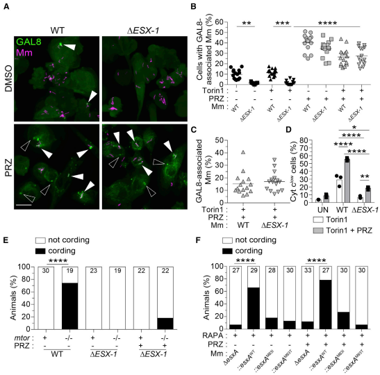 1700100514958699.png 企业微信截图_17000308923815.png