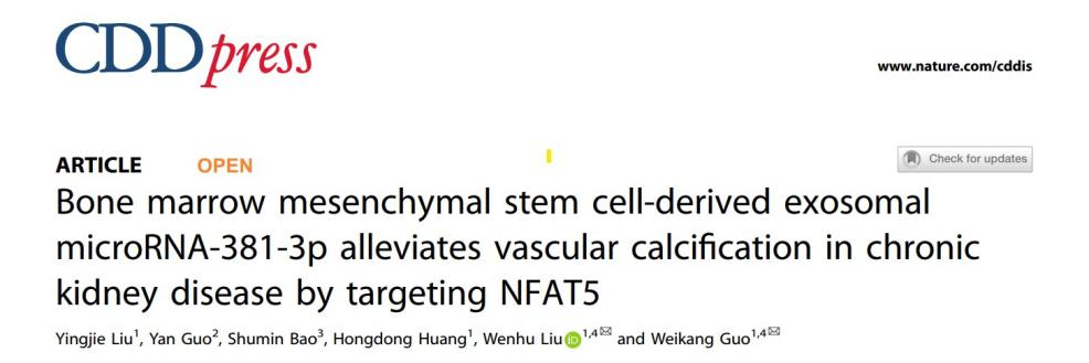 【CDD】8分+，经典套路解锁骨髓间充质干细胞外泌体缓解血管钙化的机制研究
