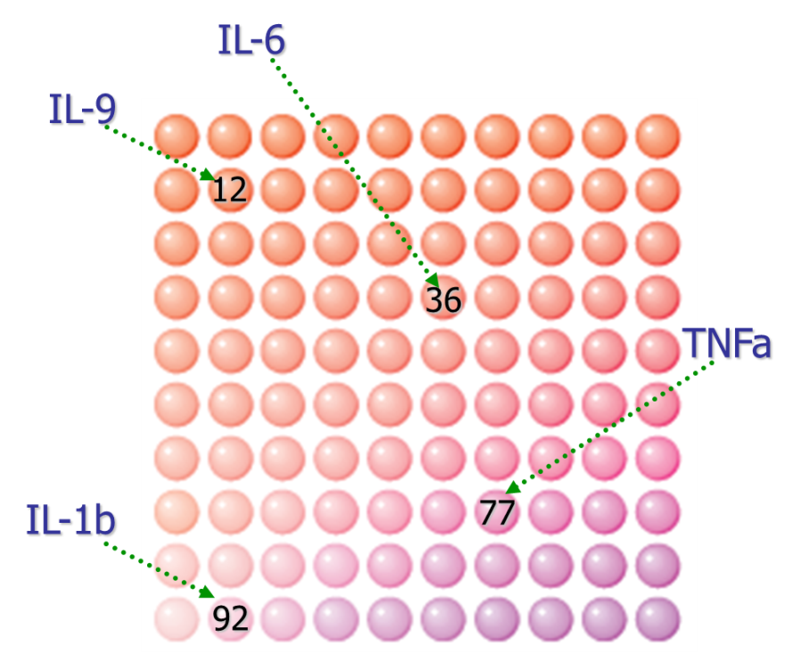 从微量样品到海量数据|多因子检测技术服务