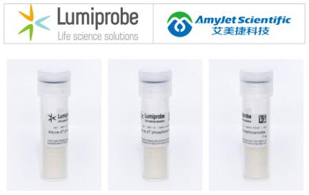 艾美捷代理Lumiprobe 脱氧核糖核酸丨炔烃dT亚磷酰胺