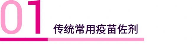 CpG ODN 在活化 pDC 以及增强免疫反应中的应用 - MedChemExpress