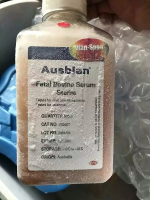 如何检查胎牛血清中的病毒