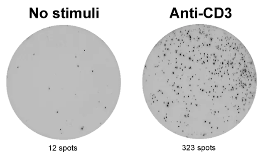 ELISpot Pro:猴IFN-γ(ALP)-科研好物限时抢！
