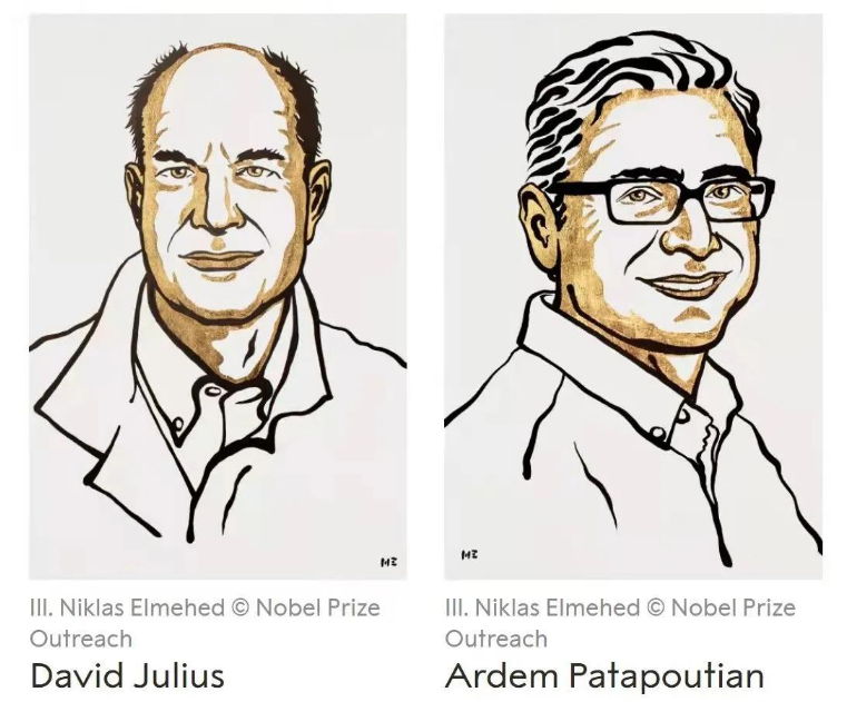 诺贝尔生理学或医学奖｜人体感受器研究