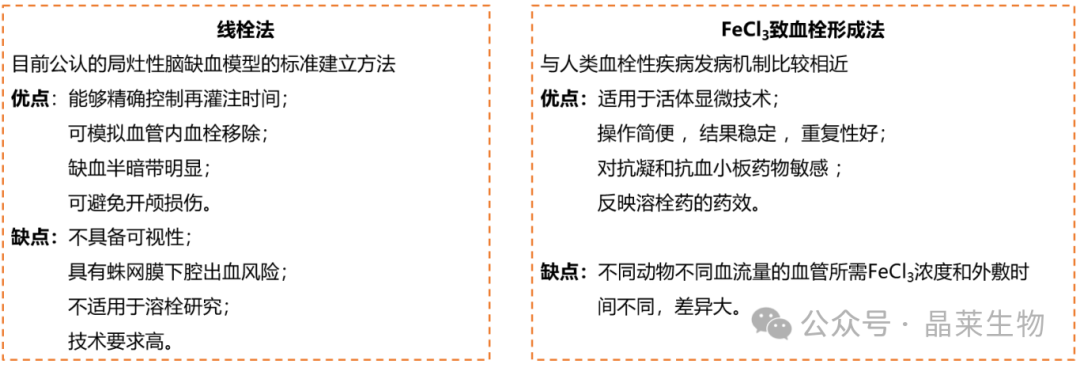 新闻图片17