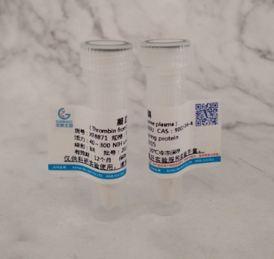 凝血酶的分子量