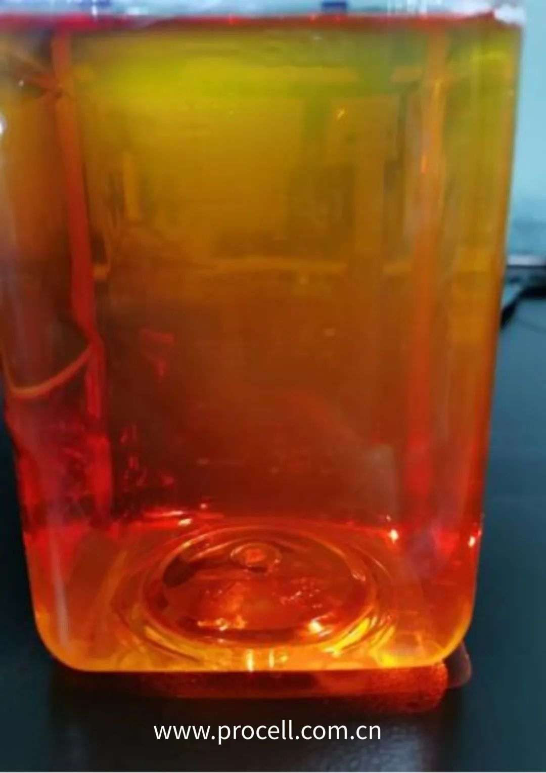 细胞学堂 | 细胞培养中的小黑点，原来是它