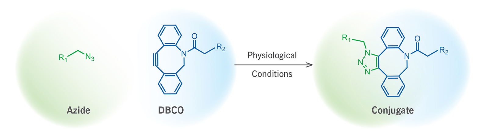 ClickChemistry点击化学（DBCO）高效的偶联反应试剂促销