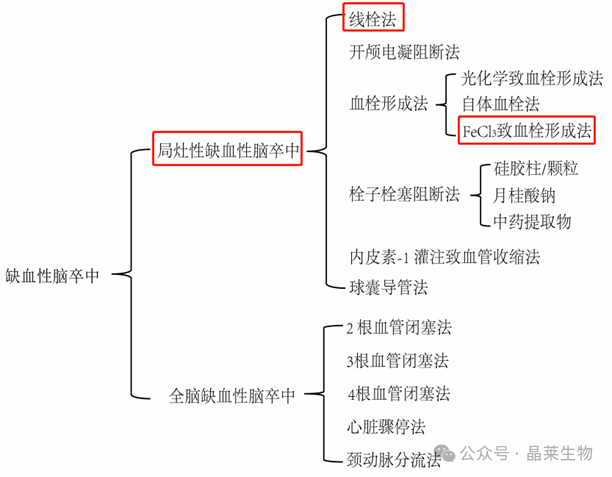 新闻图片4