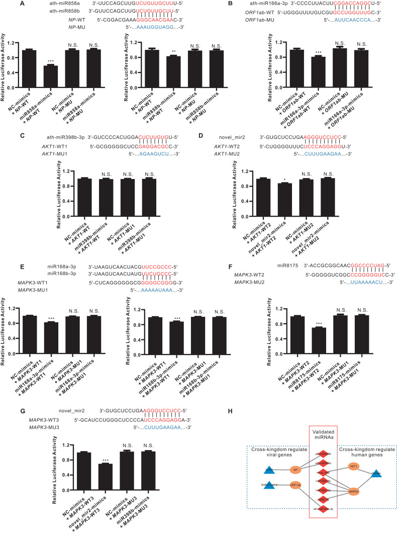 客户文献解读 | 中医为什么能治流感?是玄学还是运气?INT J NANOMED揭示鱼腥草抗病毒机制及范围!