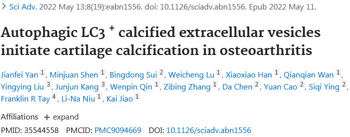 【SCI】外泌体&自噬能发14分+文章，赶紧来围观！