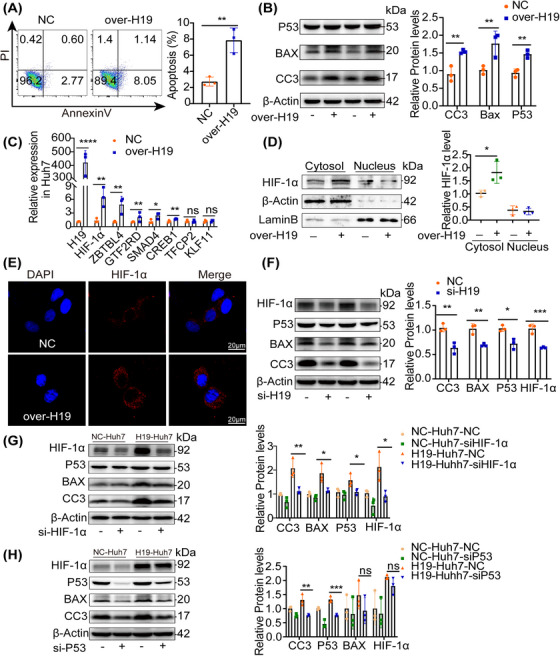 外泌体技术服务