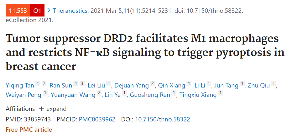 DRD2促进M1巨噬细胞，抑制NFkB信号传导，诱发乳腺癌细胞焦亡