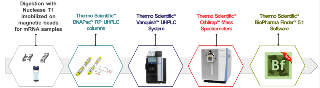 解锁高阶模式,Oligo全面表征流程