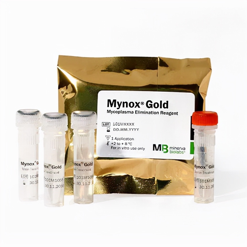 过往→未来，我们一直都在