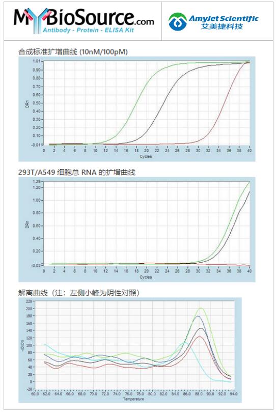 MyBioSource 人 hsa-mir-182 RT-PCR,PCR试剂盒应用说明 MyBioSource 人 hsa-mir-182 RT-PCR,PCR试剂盒应用说明