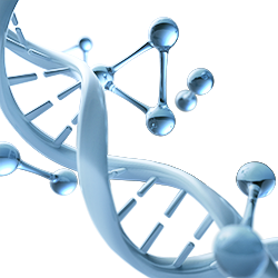 蓄能|2020药典-中药材重金属及有害元素检测之ICPMS方案