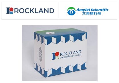 Rockland Immunochemicals丨艾美捷CCP110抗体说明书 Rockland Immunochemicals丨艾美捷CCP110抗体说明书