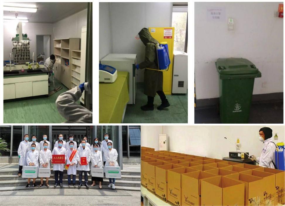 2020年度汇报|庚子将随旧岁去，春风即送金牛来！