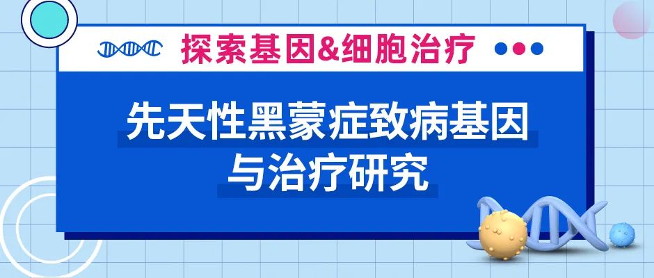 先天性黑蒙症｜姹紫嫣红的世界与我渐行渐远