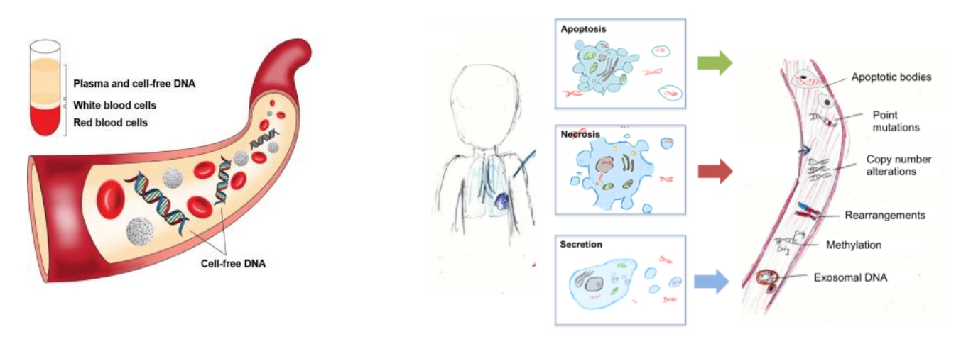 上新 | 抽提效率突破90%！升级版血浆游离DNA提取试剂盒，实力登场！