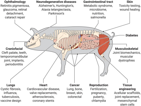 1711072575754825.png 2.png