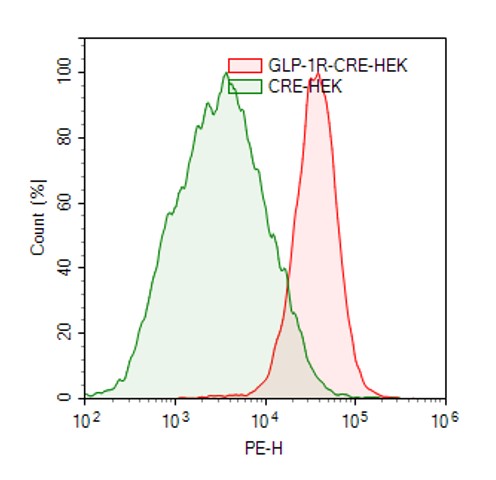 GLP-1R/CRE Luc报告基因 HEK293 细胞系