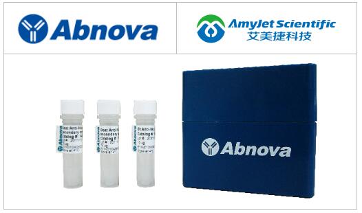 Abnova 鸡抗小鼠 IgG (H&L) 二抗（过氧化物酶）说明书