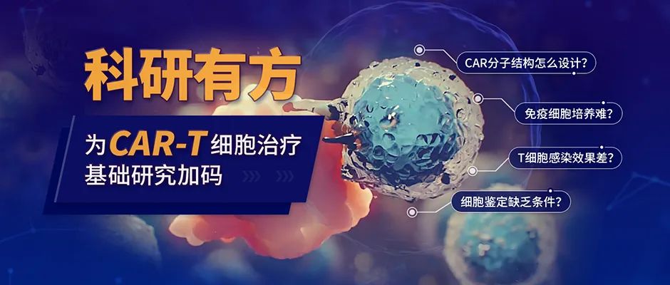 科研有方：为CAR-T细胞治疗基础研究加码