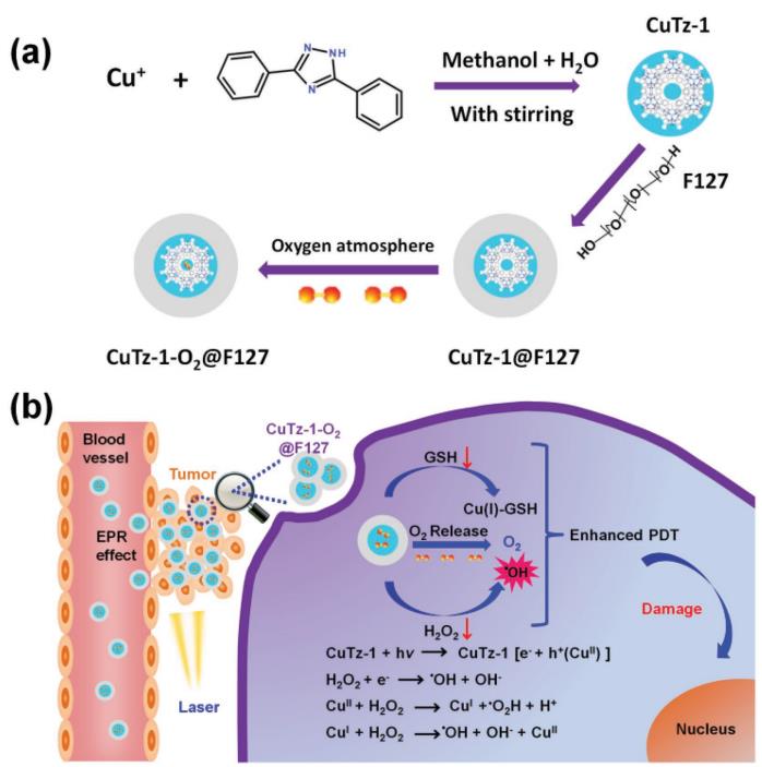 文献解读|单分散铜(I)基纳米MOF作为可生物降解的药物载体增强光动力治疗效果