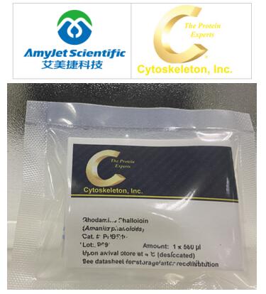 Cytoskeleton 艾美捷磷酸盐测定试剂盒说明书