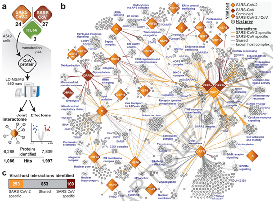 和疫情赛跑，质谱战“疫”在行动