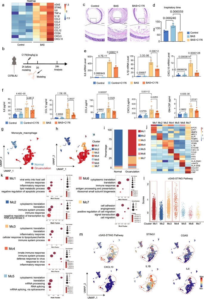 6389656458409668754875011