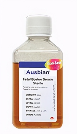 野外进行认知培训可以改善大脑健康(细胞培养fcs功效和作用）