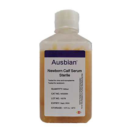 疫苗生产离不开优质的新生牛血清