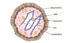 森贝伽生物：快来get细胞污染处理方法! 