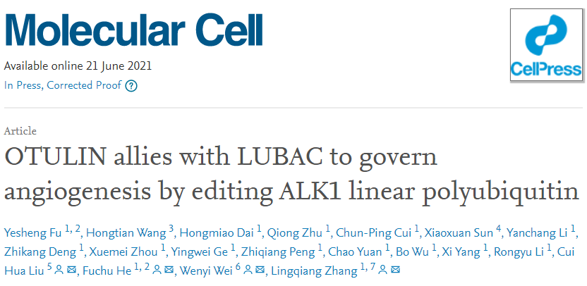 Molecular Cell：线性泛素化调控血管生成的新机制