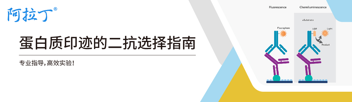 【阿拉丁】蛋白质印迹的二抗选择指南
