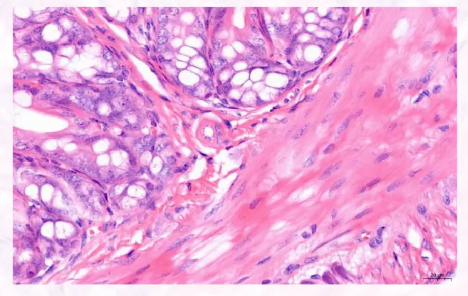 多彩开学季，点亮新学期|“我画你猜”索莱宝染色液趣味有奖竞猜活动