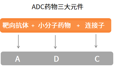 ADC药物研究相关靶点汇总