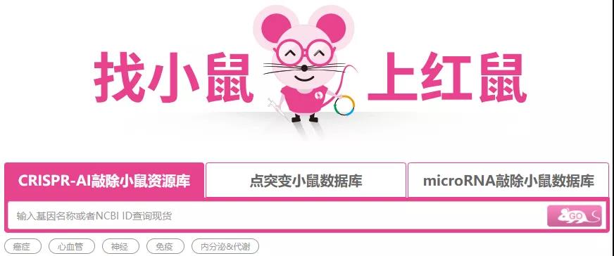 「每周一鼠」表观遗传巨星——KDM2b