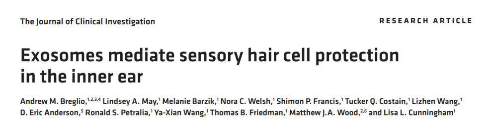 【JCI】医学一区14分+文章，看大佬如何研究外泌体对内耳毛细胞的作用机制