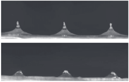 图片8.png 图片8.png