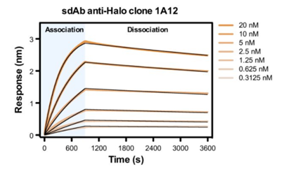 NanoTag-抗Halo标签蛋白单域抗体-现货特惠：速达实验室，省时更省心！