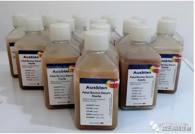 细胞外基质对细胞增殖的影响