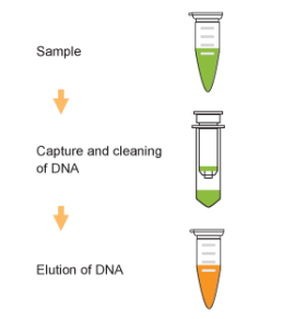 有效浓缩，不到2分钟，DNA浓缩试剂盒方案