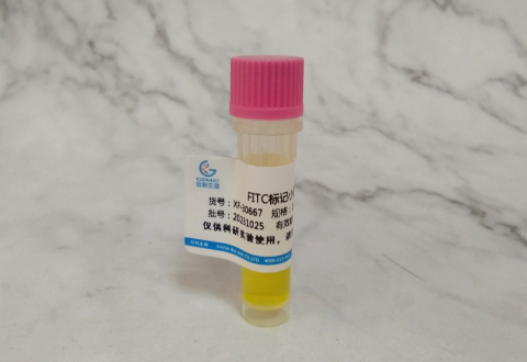 FITC标记小鼠抗人IgE抗体的标记物浓度