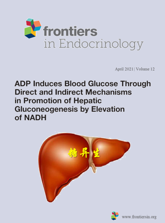 客户案例 | ADP通过上调NADH促进肝脏糖异生来调节血糖