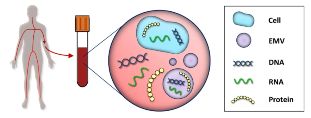 体外诊断业的宠儿——游离DNA