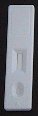 你做的抗原是怎么出现两条杠的？需要的原材料有哪些？